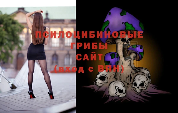 спиды Алзамай