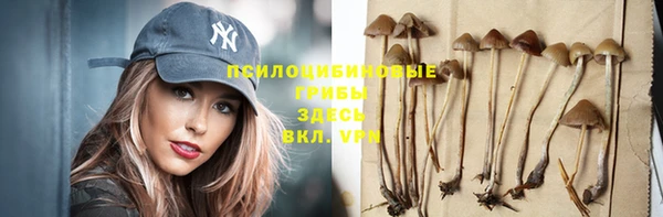 спиды Алзамай