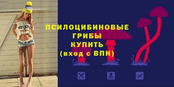 дмт Абаза