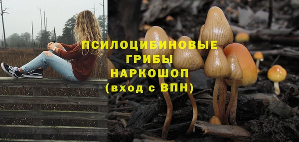 шишки Абдулино