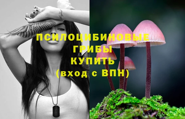 дмт Абаза