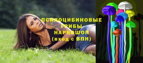 шишки Абдулино