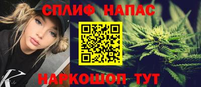 мдпв Тула