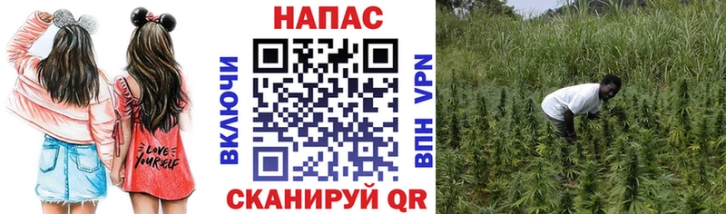 Марихуана марихуана  где продают наркотики  Уфа 